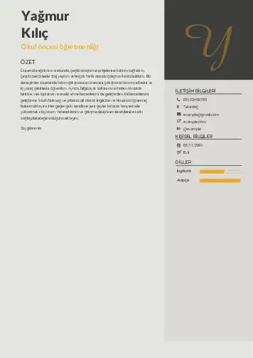 Okul Öncesi Öğretmeni Öğretmenliği Cv Örnekleri cv indir